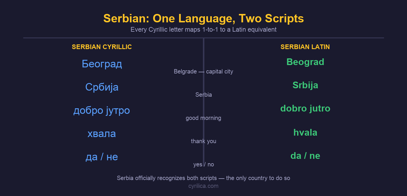 Serbian Cyrillic and Latin script side-by-side comparison showing common words: Београд/Beograd, Србија/Srbija, добро јутро/dobro jutro, хвала/hvala